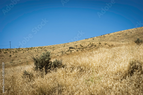 Arid landscape in Eastern Washinton state  #528365529