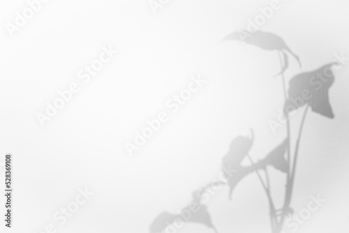 Leaf shadow overlay background design. Abstract natural shadow for minimalist photo effect