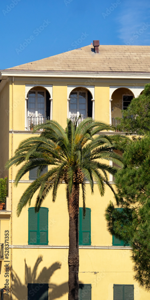 SANTA MARGHERITA LIGURE, ITALY - MAY 19, 2018:  Vertical panorama of Palm tree in front of yellow apartment building with shutters