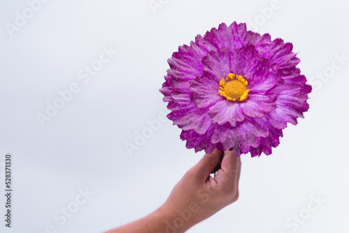 High quality photography. A hand with a flower on a white isolated background. A flower with a very bright and beautiful purple color. Very beautiful plastic flower.