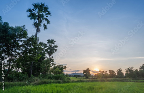 sunset over the village