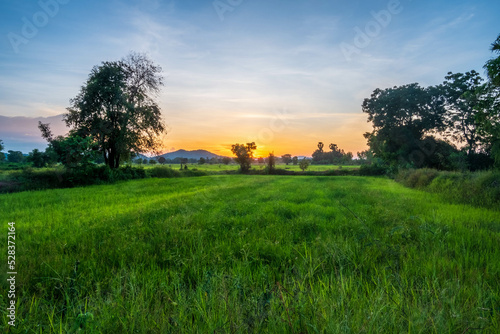 sunset over the field © Sathaporn