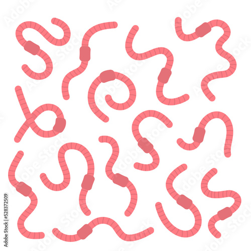 Set of pink curled earthworms. Invertebrate crawling worms illustration. Terrestrial annelids worms. Hand drawn vector illustration.