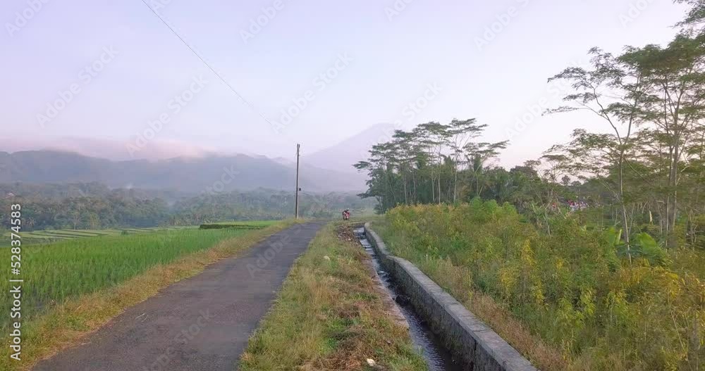 Road in the middle of rice fields with gigantic mountains in background during sun rays in the morning. A farmer working on the rice field. Cinematic drone shot