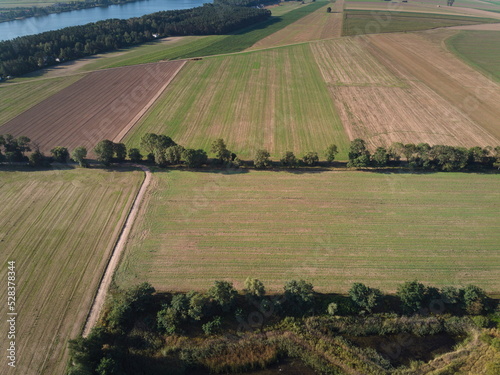 lake, field and forest in the summer