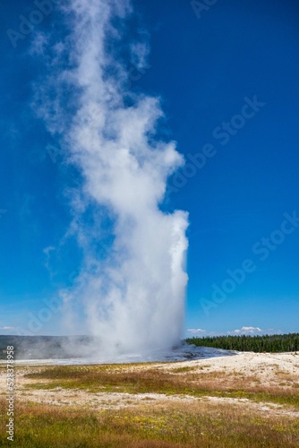 Vertical shot of the eruption of the Old Faithful geyser in Yellowstone National Park