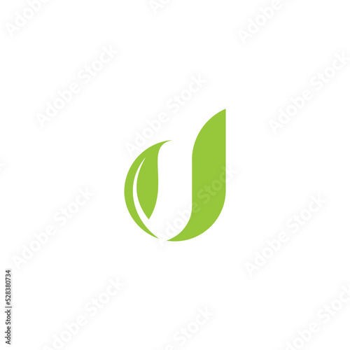 Awesome Letter D Leaf Premium Logo