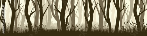 Wild forest with various coniferous or deciduous trees. Wide horizontal banner with various tree trunks silhouettes and grass. Dark misty pine forest landscape, panorama. Vector illustration
