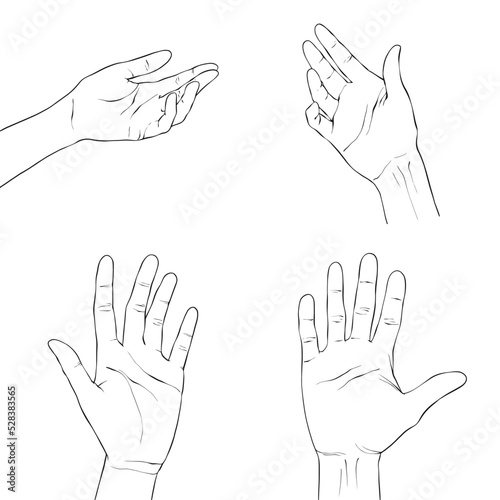 Woman's hands set isolated on white background, vector illustration