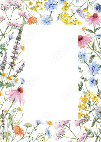 Beautiful floral frame with watercolor hand drawn summer wild field flowers. Stock illustration. Clip art. © zenina