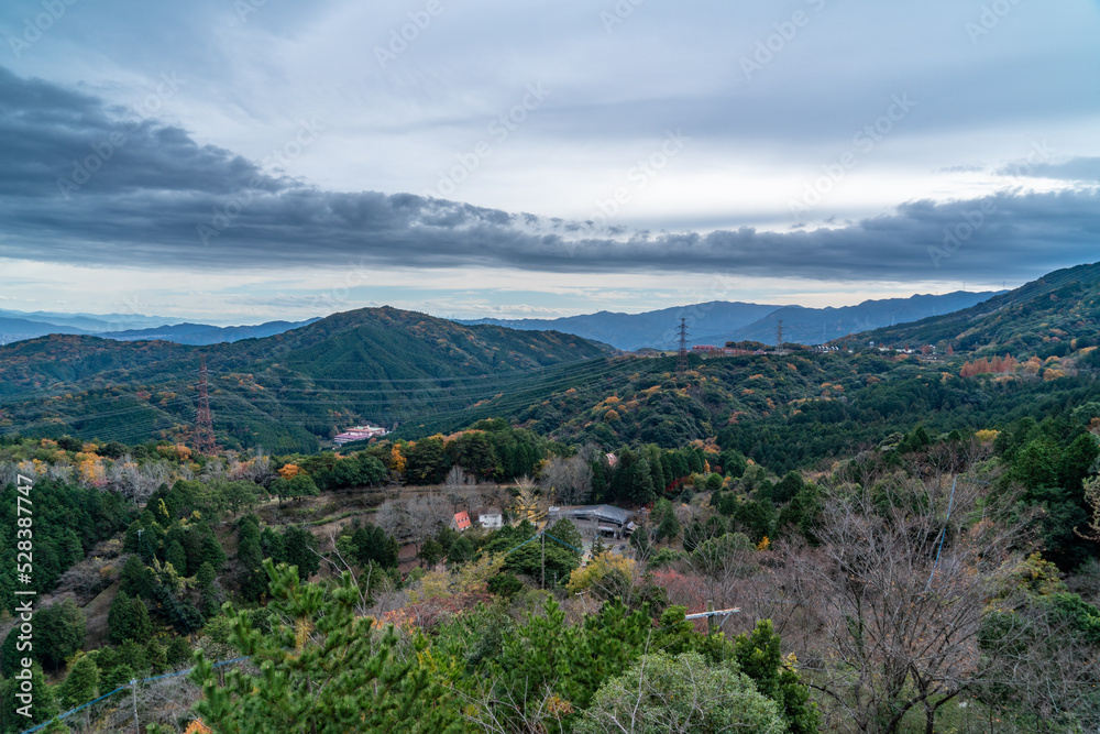 Obraz premium leaves of some trees start to turn orange in mountain, Japan.