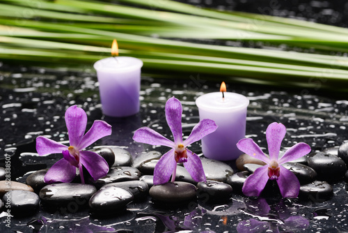 spa still life of with  orchid and  and zen black stones with b green palm  wet background 