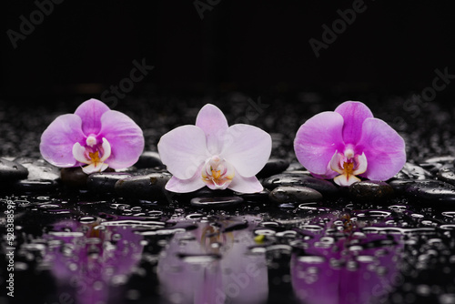 spa still life of with macro of orchid and zen black stones wet background 