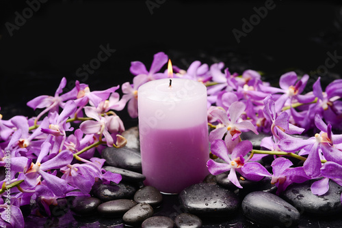 spa still life of with  branch  orchid  candle  and zen black stones wet background 