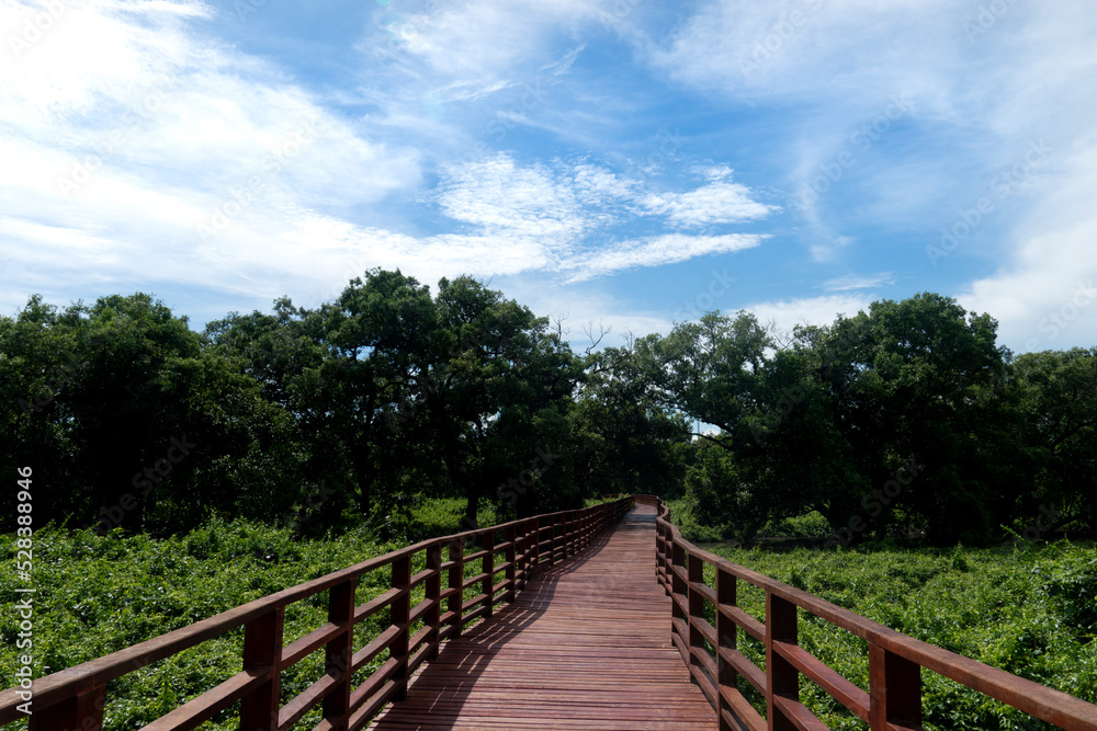 Red wooden bridge walkway leading straight out of the mangrove forest. Under the blue sky and white clouds. At Phra Chedi Klang Nam, Pak Nam, Rayong, Thailand.
