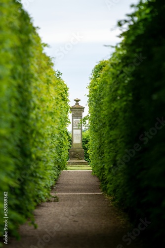 Park path between aligned green trees and a tower at the end of the path, vertical shot photo