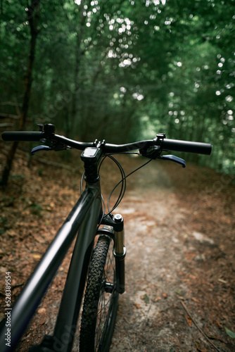 Mountain bike in the woods. Bicycle with forest background. Active outdoor lifestyle concept.