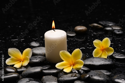 spa still life of with yellow frangipani and  green plants leaves white candle