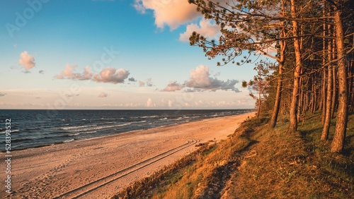 Fototapeta Naklejka Na Ścianę i Meble -  Baltic sea with a sandy beach during sunset with a blue sky in the background
