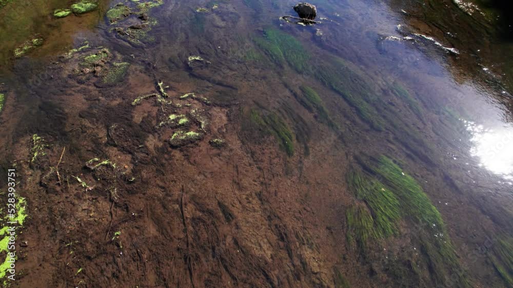 clear water river full of moss with ancient structures. aerial drone shot of river in Ardennes, North France. footage of a river on a french canal. entry Champagne et Ardennes. 4K videos. clear water river full of moss with ancient structures. aerial drone shot of river in Ardennes, North France. footage of a river on a french canal. entry Champagne et Ardennes. 4K videos.
