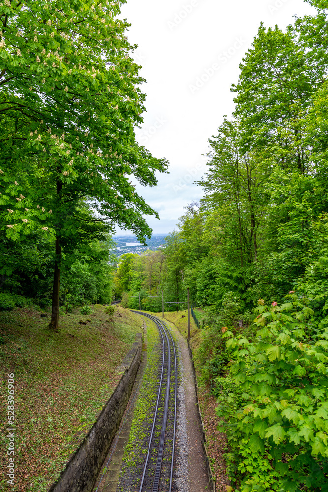 railway in the forest railway in the forest