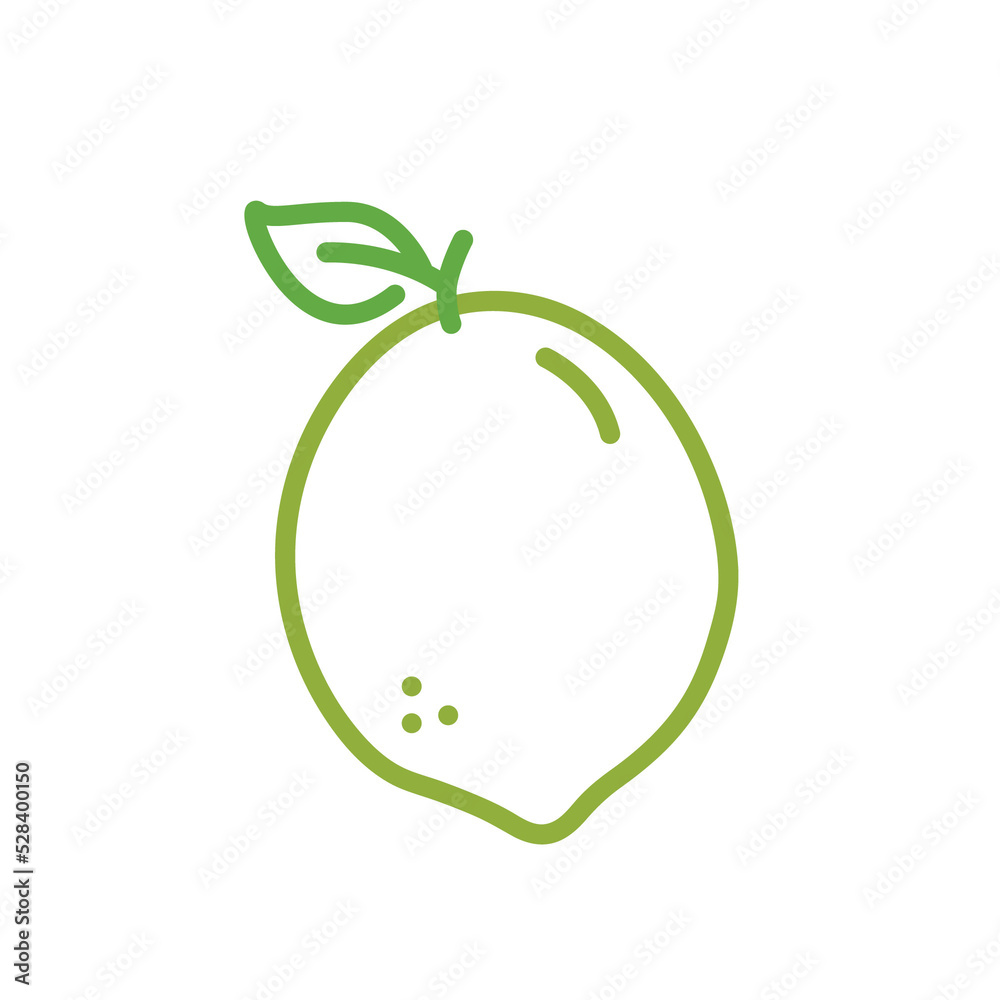 Lime Fruit Simple Line Illustrations Lime Fruit Simple Line Illustrations