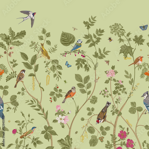 Garden Birds. Mural. Vector vintage illustration. Green