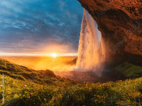 Beautiful Seljalandsfoss waterfall flowing and midnight sunset shining on flower garden in summer at Iceland