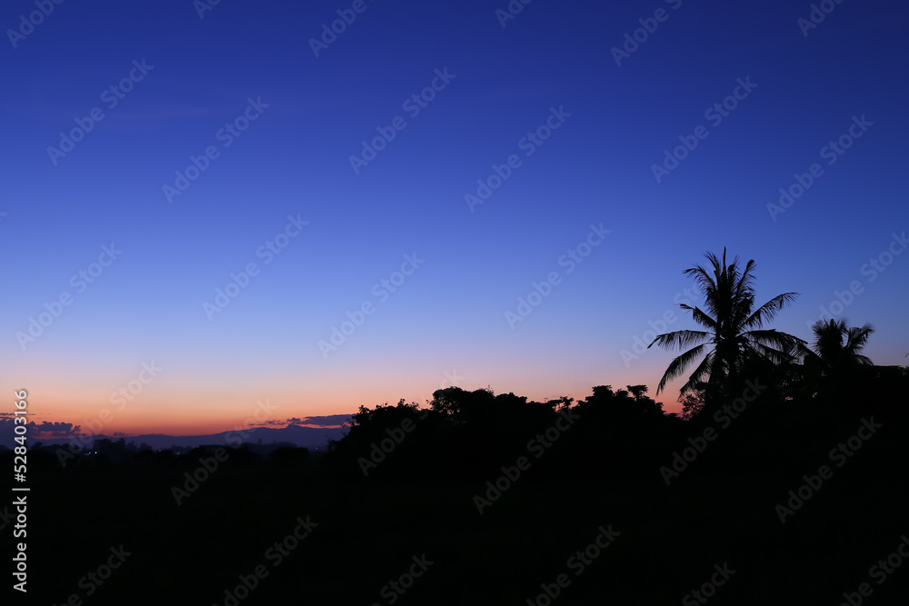 Beautiful Twilight line of evening sky sunset light and silhouette, shadow  darkness coconut tree, nature abstract background