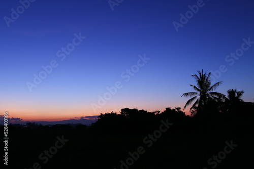 Beautiful Twilight line of evening sky sunset light and silhouette  shadow  darkness coconut tree  nature abstract background