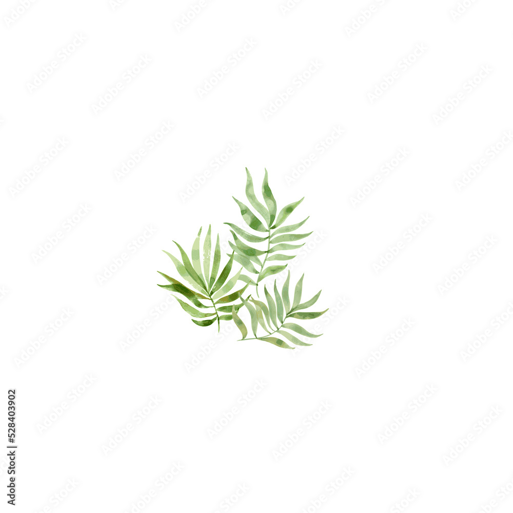 rosemary rosemary