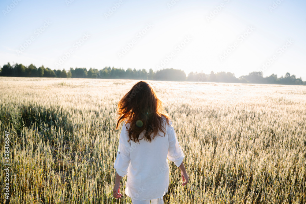 Woman strolling, through cornfield on sunny day Woman strolling, through cornfield on sunny day