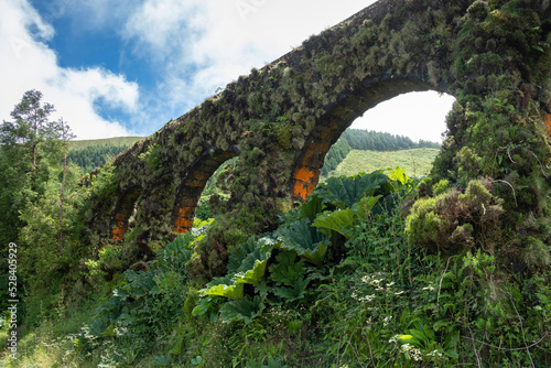 Portugal, Azores, Green flora overgrowingMuro das Nove Janelas aqueduct