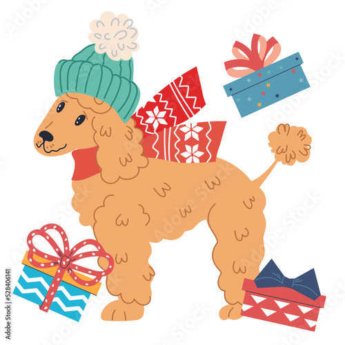 Cute poodle dog in winter hat and scarf surrounded by Christmas gifts, flat vector illustration isolated on white background. Happy Christmas and New Year.