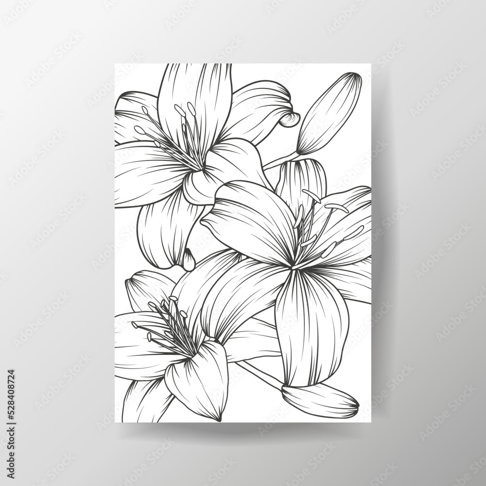 Hand drawn black and white line lily flower composition on white ...