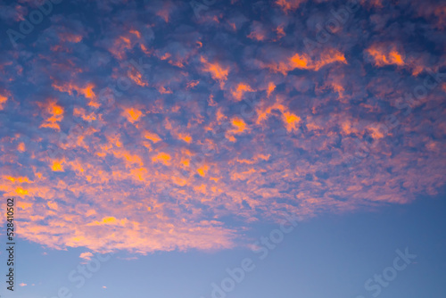 Stunning orange altocumulus clouds at sunset / sunrise. Amazing colorful sky. Orange clouds on blue sky background