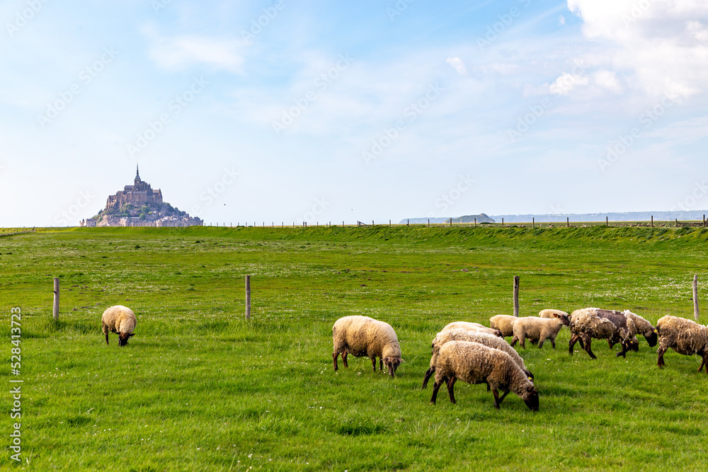Mont Saint-Michel Abbey. France Mont Saint-Michel Abbey. France