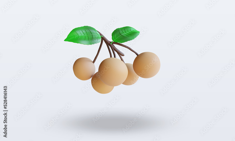 3d Fruits Longan rendering front view 3d Fruits Longan rendering front view