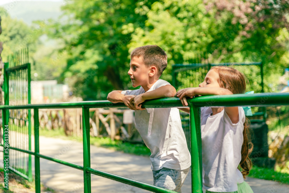 Children are watching the animals in the zoo leaning against the fence. Trees and greenery in the background