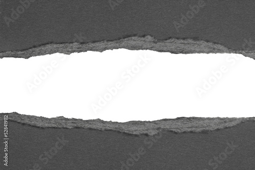 Photo Black ripped paper torn edges strips isolated on white background