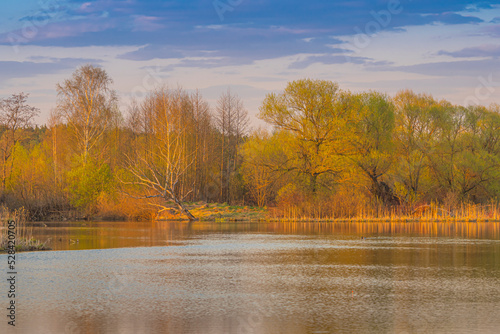 Wallpaper Mural Summer landscape with lake and trees at sunset under blue and pink sky Torontodigital.ca