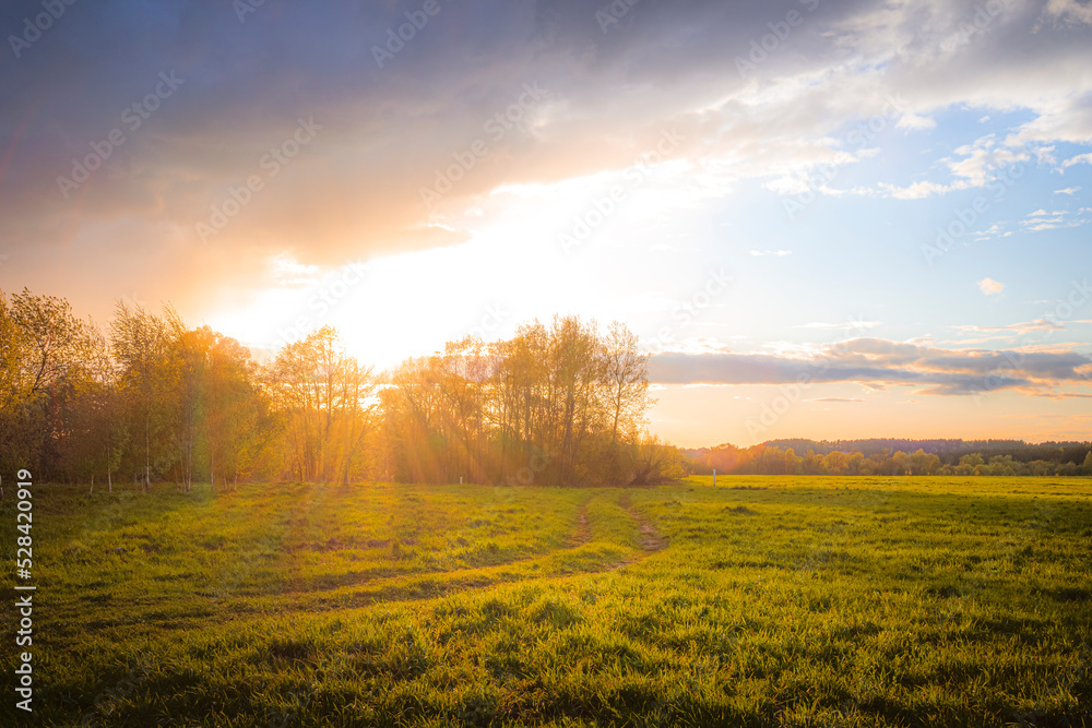Summer sunset in the field after rain with dramatic clouds in the blue sky Summer sunset in the field after rain with dramatic clouds in the blue sky