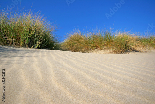 Plage La Grande Motte Hérault dunes espaces naturels littoral Occitanie 