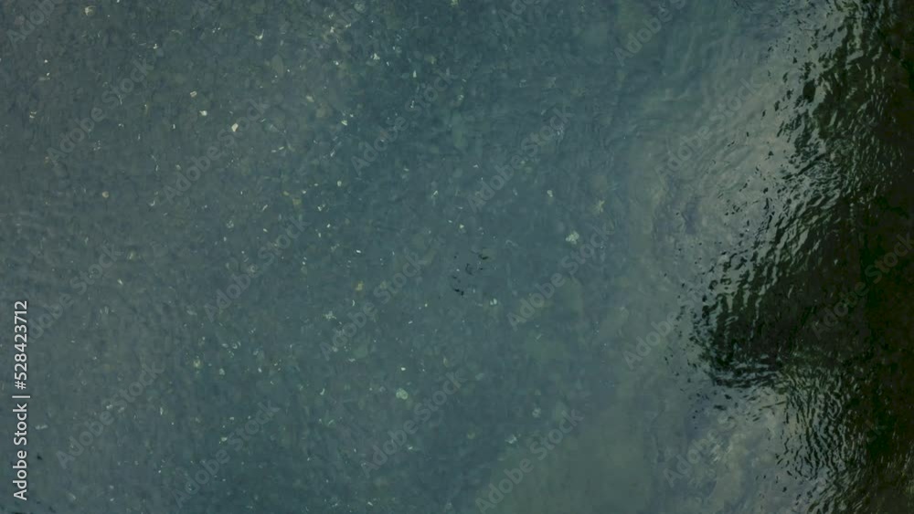 Drone flying over a beautiful salmon river in the summer. Close up of salmons in turquoise clear water. Drone flying over a beautiful salmon river in the summer. Close up of salmons in turquoise clear water.