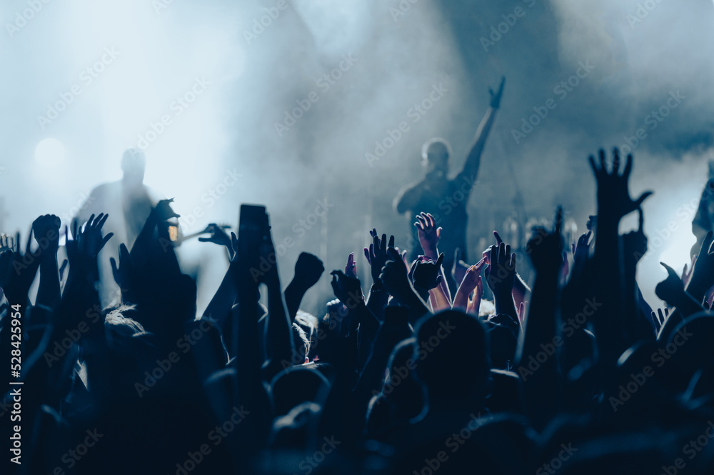 Concert crowd on a music concert Concert crowd on a music concert