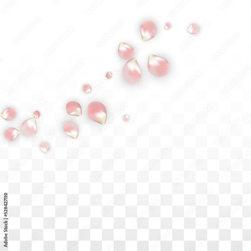 Pink Vector Realistic Petals Falling on Transparent Background. Spring Romantic Flowers Illustration. Flying Petals. Sakura Spa Design. Blossom Confetti. Design Elements for Wedding Decoration. Pink Vector Realistic Petals Falling on Transparent Background. Spring Romantic Flowers Illustration. Flying Petals. Sakura Spa Design. Blossom Confetti. Design Elements for Wedding Decoration.
