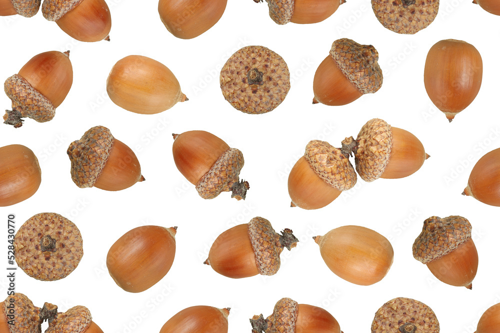 Acorns seamless pattern. Decorative background from acorns. Acorns seamless pattern. Decorative background from acorns.