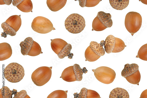 Acorns seamless pattern. Decorative background from acorns.