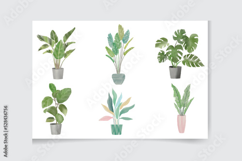Fotografie, Obraz Set of watercolor houseplants: monstera, sansevieria, cactus, ficus