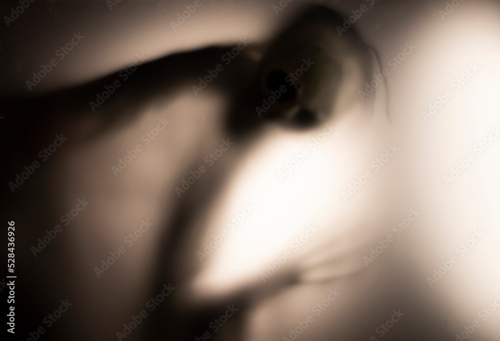 Obraz premium Shadow blur of horror skeleton. Halloween background.